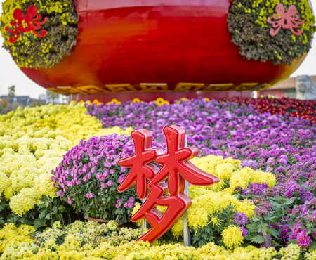 China Henan Province Kaifeng City chrysanthemum flower exhibition in 2017のeditorial素材