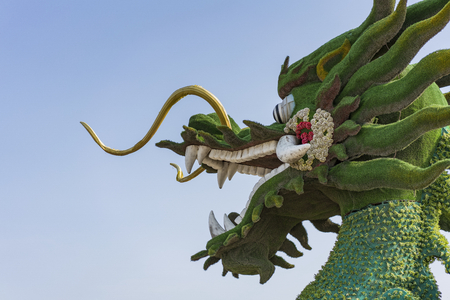 China, Hebei, Shijiazhuang, botanical garden, flower bed.のeditorial素材
