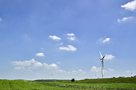 grassland sceneryのeditorial素材