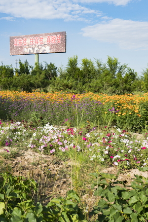 China, Hebei Province, Zhangjiakou City, Yu County sceneryのeditorial素材