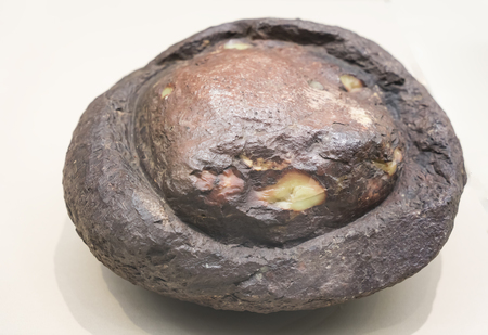 Qingtian Stone, Long Egg Stone at Shaanxi History Museumのeditorial素材