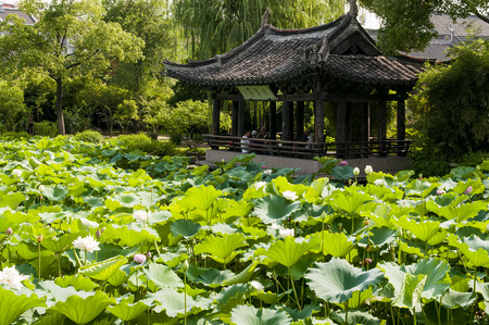 Shenyuan Scenic Area at Zhejiang province, China.のeditorial素材