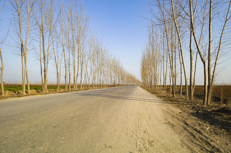 Old county village at China.の写真素材