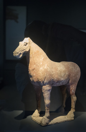 China, Shaanxi Province, Xi'an City, Daming Palace National Relics Museum, collection of cultural relics, Tang Dynasty, painted horsesのeditorial素材