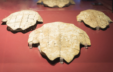 China, Henan Province, Anyang Yinxu Museum collection of cultural relics, tortoisesのeditorial素材