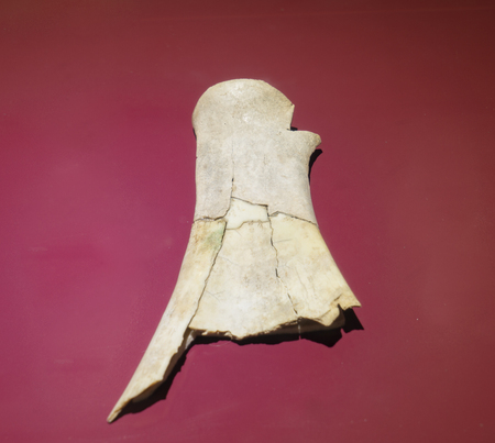 China, Henan Province, Anyang Yinxu Museum, collection of cultural relics, Shang Dynasty, Bu Gu