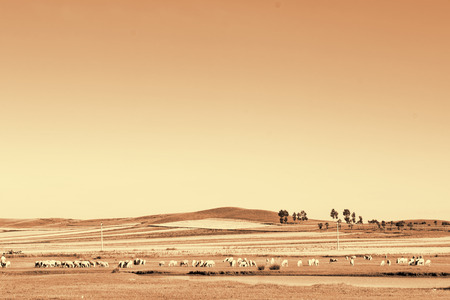 Xilamur scenery in Inner Mongolia, China.の写真素材