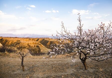 Natural scenery at Yu county in Zhangjiakou City, Hebei Province, China.の写真素材