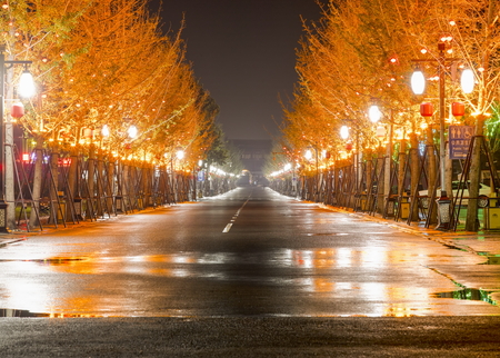 China, Hebei Province, Shijiazhuang City, Zhengding Ancient City early morning scenery