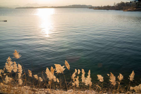 Xibaipo, Pingshan County, Shijiazhuang City, Hebei Province, Chinaの写真素材