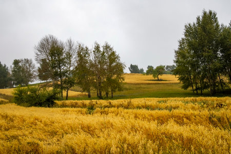 the natural scenery of Guyuan County, Zhangjiakou City, Hebei Provinceの写真素材
