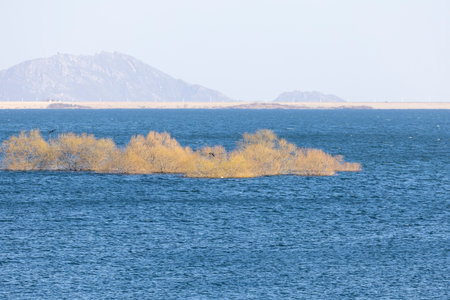 Lake Baikal in winter, the deepest and largest freshwater lake by volume in the world.