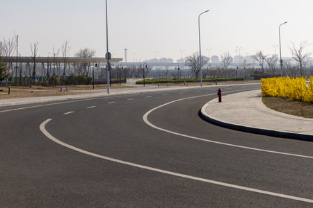 Asphalt road and yellow flowers in the park, closeup of photo