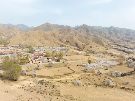 Aerial view of the village in the middle of the desert.の写真素材