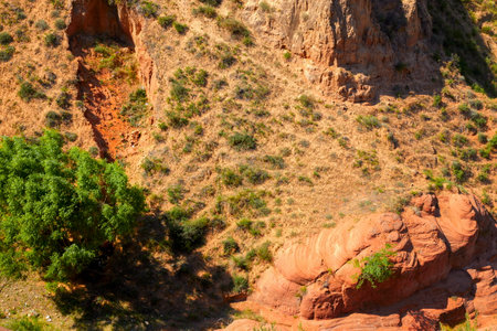 Garden of the Gods in Colorado Springs, Colorado, USA.の写真素材