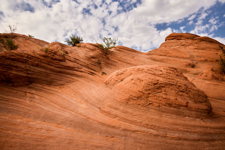 The Wave is a sandstone formation in the Vermillion Cliffs National Monument, Utah.の写真素材