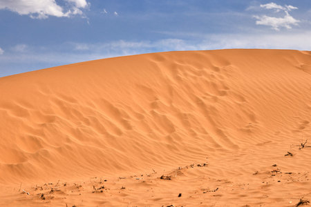 Sand dunes in Maspalomas, Gran Canaria, Canary Islandsの写真素材