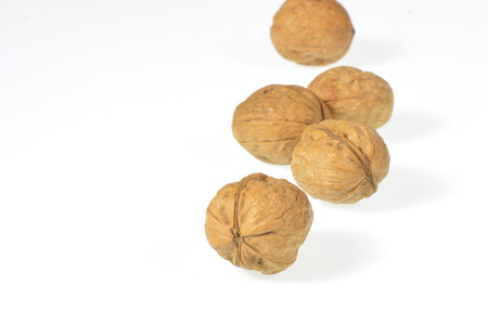 Walnut isolated on white の写真素材
