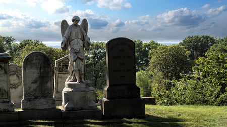 Angel
