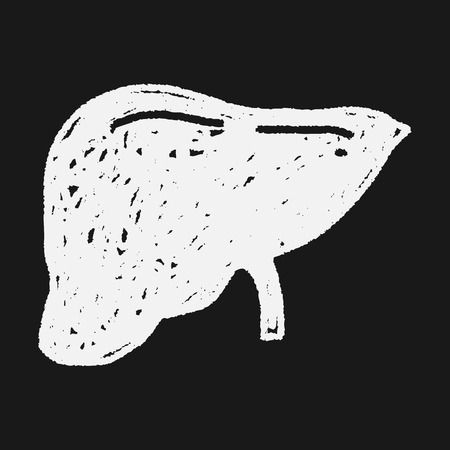 Liver doodleのイラスト素材