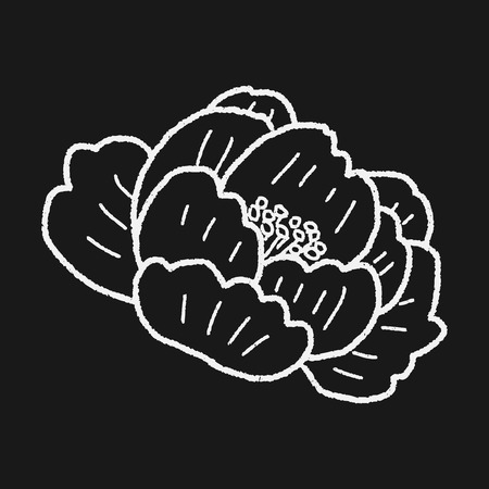 flower doodleのイラスト素材