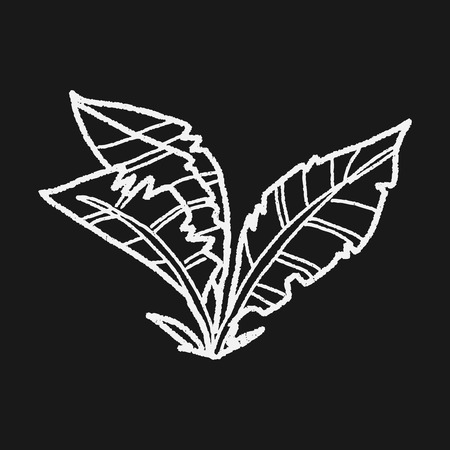 plant doodleのイラスト素材