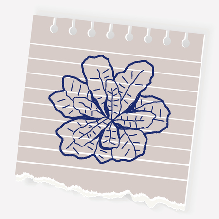 Cabbage doodleのイラスト素材