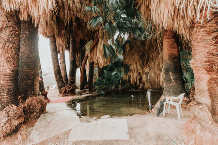Five Palms Hot Spring, a hidden desert oasis in Southern California near Brawley, CAの写真素材