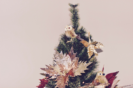 Christmas tree closeup - detailの写真素材