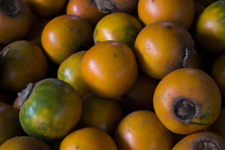 Typical colombian fruitの写真素材