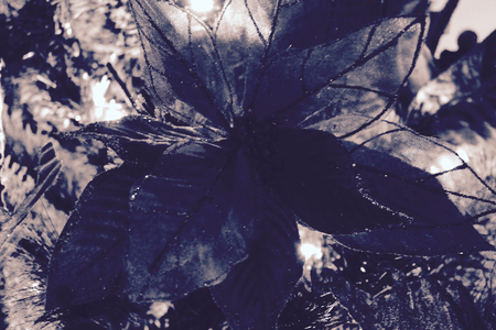 Christmas tree closeup - detailの写真素材