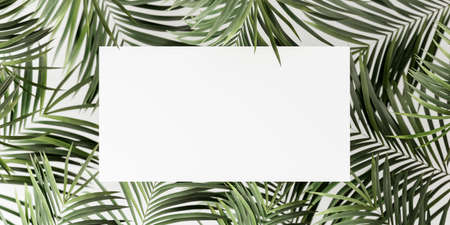 Green palm leaves with white mock up space in the middle. Abstract summer background 3D Rendering, 3D Illustrationの写真素材