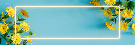 Yellow flowers with square neon light on spring blue background 3D Rendering, 3D Illustrationの写真素材