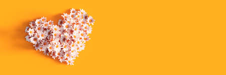 White heart made of chamomile flower on vivid orange spring background 3D Rendering, 3D Illustrationの写真素材