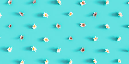 Chamomile flower pattern on turquoise blue background 3D Rendering, 3D Illustrationの写真素材