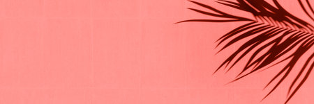 Palm leaf shadow on painted pink concrete background 3D Rendering, 3D Illustration