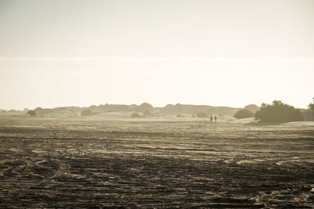 Sandy beach full of traces of motorcycles, quads and trucksの写真素材