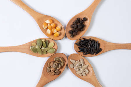 Different seeds -corn, squash, coffee, pepper, rice, sunflower- in wooden spoons on a white surface