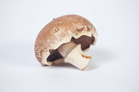 Champignon mushrooms, brown variety, in the upper right corner on a white surface with space to write.の写真素材