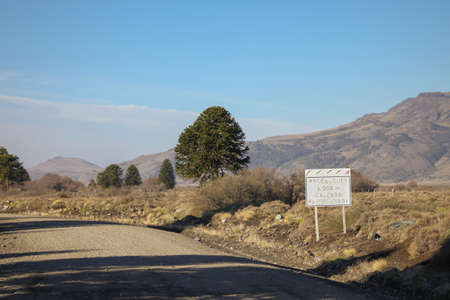 Road to Lake Tromen crossing a Araucaria forest in the south of the Province of Neuquen in Argentine...
