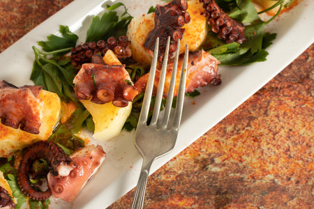 Elongated tray with Galician Octopus, with potatoes, paprika, olive oil on a rustic granite background. Spanish ethnic cuisine concept.の写真素材