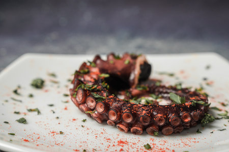 White plate with a grilled octopus tentacle on a fancy surface.の写真素材