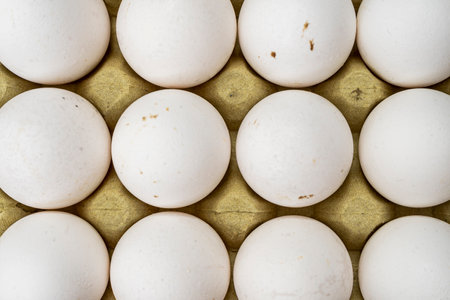 Aereal partial view of an egg carton container with organic white chicken eggs.の写真素材