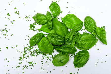 Fresh basil leaves on a white surface. Fresh, healthy and natural food concept.の写真素材