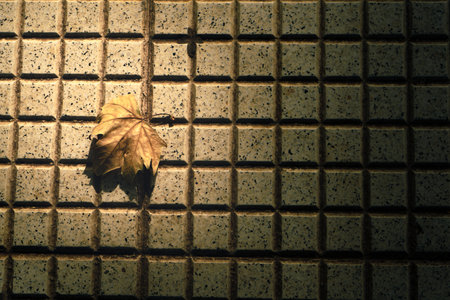 A detail of a leaf on a white granite mosaic gridの写真素材