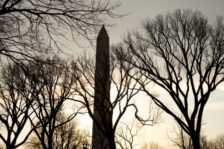 Washington Monument in WA DC at Sunriseの写真素材