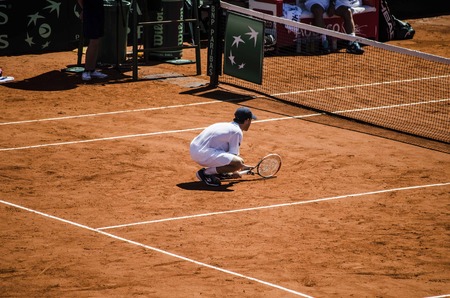 Tennis Davis cup 2015 argentina brasilのeditorial素材