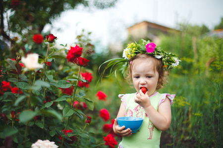 Little girl eating strawberry in garden with rosesの写真素材