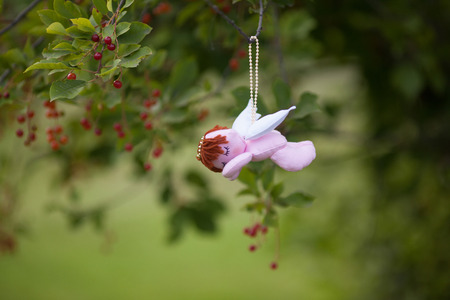 Figure of little angel on tree branch, hanging, close upの写真素材