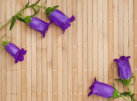 Branch of ultramarine colored bellflowers on beige bamboo napkin, copyspaceの写真素材